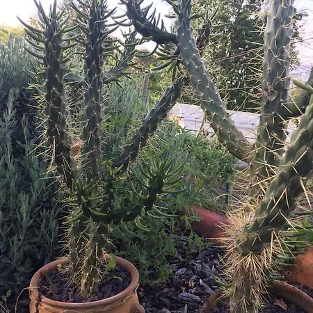 Landsted Casa La Quinta