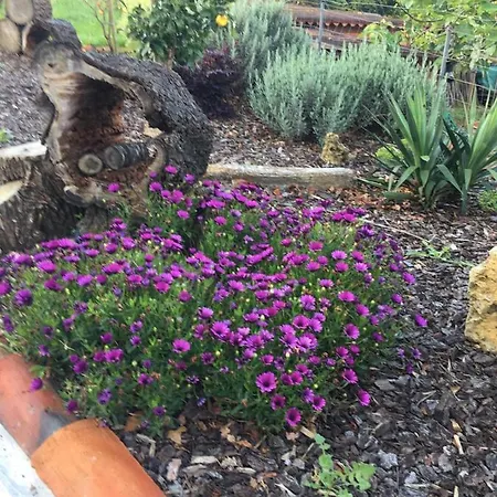 Casa rural Casa La Quinta *